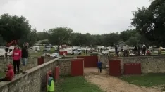 Foto 34 - 7+5 novillos en el encierro previo a la Saca