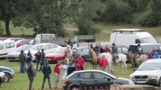 Foto 33 - 7+5 novillos en el encierro previo a la Saca