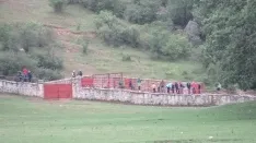 Foto 32 - 7+5 novillos en el encierro previo a la Saca
