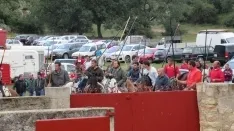 Foto 30 - 7+5 novillos en el encierro previo a la Saca