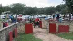 Foto 29 - 7+5 novillos en el encierro previo a la Saca