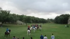 Foto 26 - 7+5 novillos en el encierro previo a la Saca