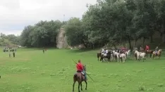 Foto 15 - 7+5 novillos en el encierro previo a la Saca