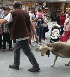 Imagen del paso del ganado por la capital./SN