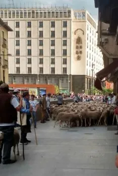 Imagen del paso del ganado por la capital./SN