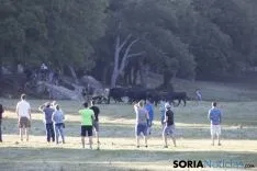 Comprilla 2017 / María Ferrer