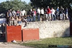 Comprilla 2017 / María Ferrer
