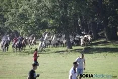 Comprilla 2017 / María Ferrer
