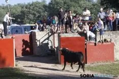 Comprilla 2017 / María Ferrer