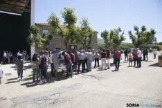 Trashumancia / María Ferrer