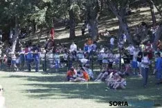 La Compra 2017 / María Ferrer