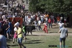 La Compra 2017 / María Ferrer