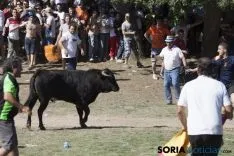 La Compra 2017 / María Ferrer