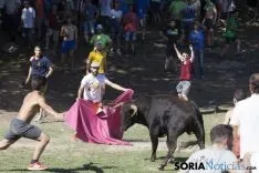 La Compra 2017 / María Ferrer