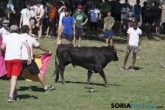 La Compra 2017 / María Ferrer