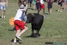 La Compra 2017 / María Ferrer