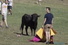 La Compra 2017 / María Ferrer