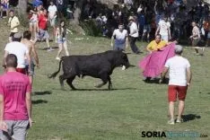 La Compra 2017 / María Ferrer