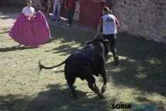 La Compra 2017 / María Ferrer