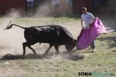 La Compra 2017 / María Ferrer