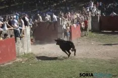 La Compra 2017 / María Ferrer