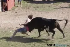 La Compra 2017 / María Ferrer