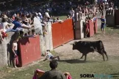 La Compra 2017 / María Ferrer