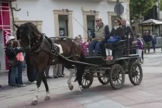 La Saca 2017 / María Ferrer