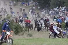 La Saca 2017 / María Ferrer