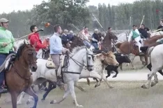La Saca 2017 / María Ferrer