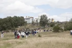 La Saca 2017 / María Ferrer