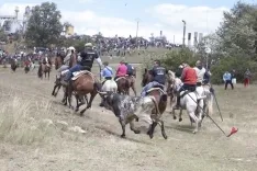 La Saca 2017 / María Ferrer