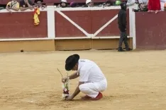 Viernes de Toros 2017 / María Ferrer