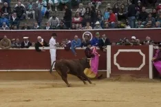 Viernes de Toros 2017 / María Ferrer