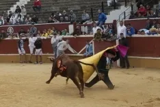 Viernes de Toros 2017 / María Ferrer