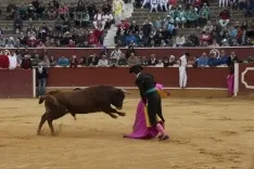Viernes de Toros 2017 / María Ferrer