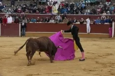Viernes de Toros 2017 / María Ferrer