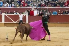 Viernes de Toros 2017 / María Ferrer