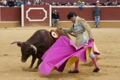 Viernes de Toros 2017 / María Ferrer