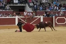 Viernes de Toros 2017 / María Ferrer