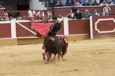 Viernes de Toros 2017 / María Ferrer
