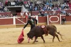 Viernes de Toros 2017 / María Ferrer