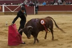 Viernes de Toros 2017 / María Ferrer