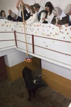 Viernes de Toros 2017 / María Ferrer