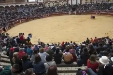 Viernes de Toros 2017 / María Ferrer