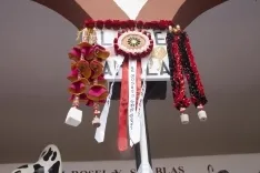 Viernes de Toros 2017 / María Ferrer
