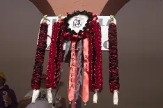 Viernes de Toros 2017 / María Ferrer