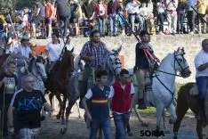 Lavalenguas 2017 / Maria Ferrer