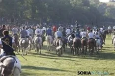 Lavalenguas 2017 / Maria Ferrer