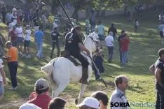 Foto 44 - As&iacute; ha sido la ma&ntilde;ana del Lavalenguas en im&aacute;genes